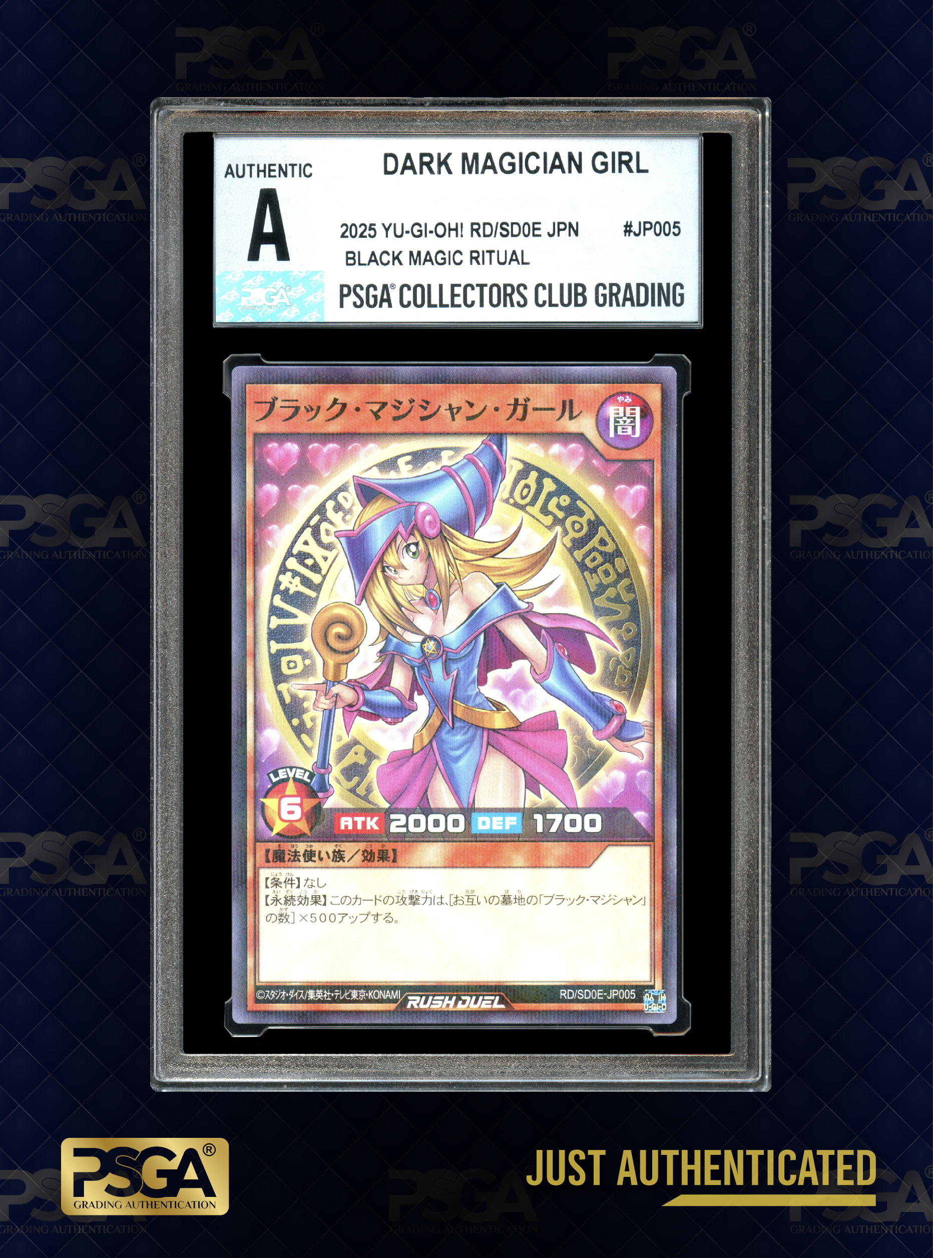 MTG & YU-GI-OH!