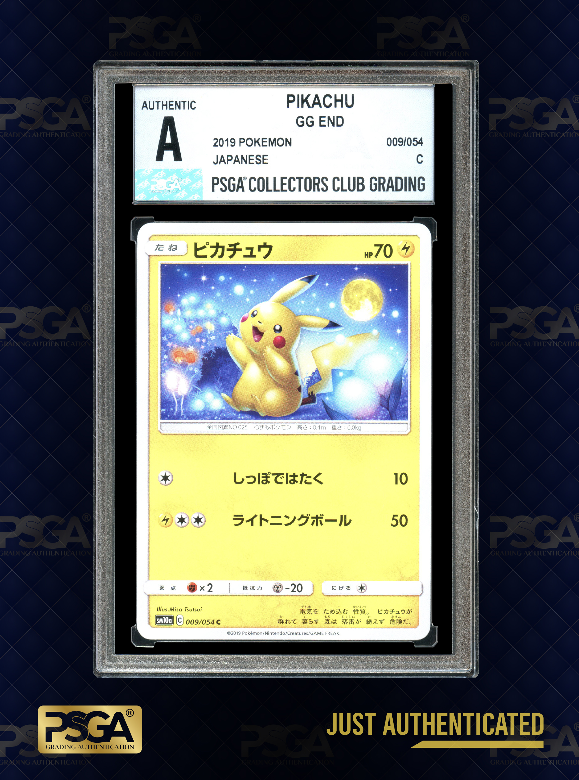 POKEMON JAPAN