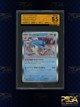POKEMON JAPAN