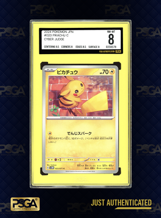 POKEMON JAPAN