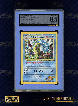 POKEMON TCG