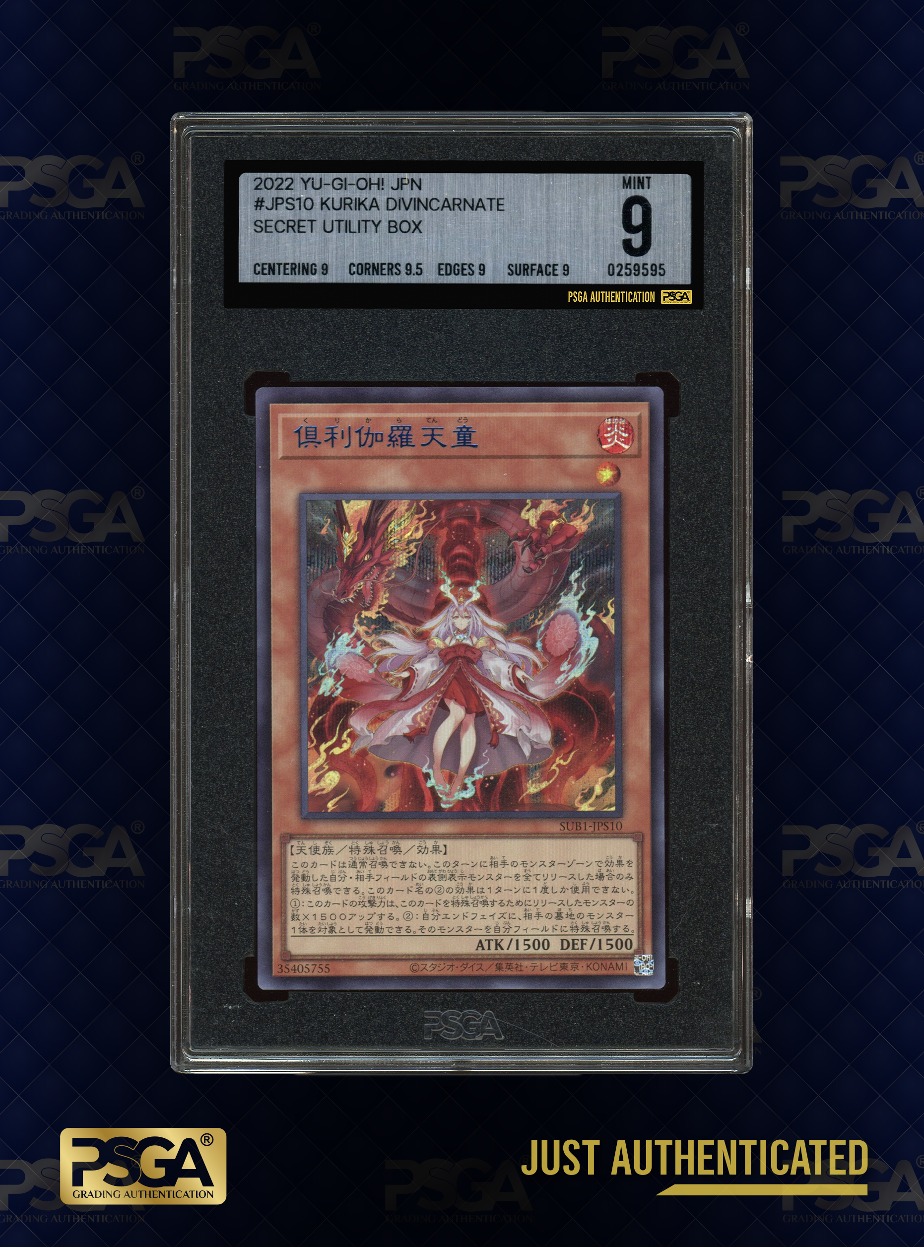 MTG & YU-GI-OH!