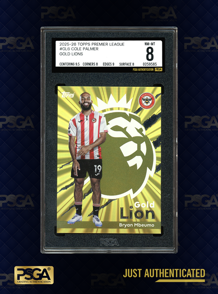 SOCCER CARDS