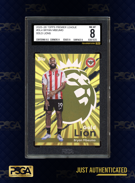 SOCCER CARDS