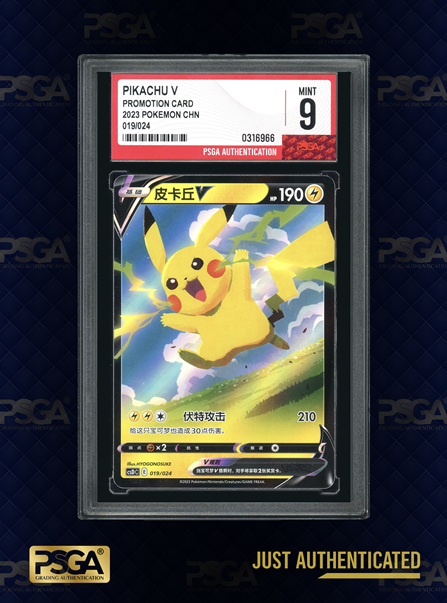 POKEMON CHINESE