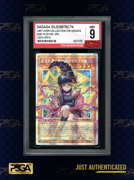 MTG & YU-GI-OH!