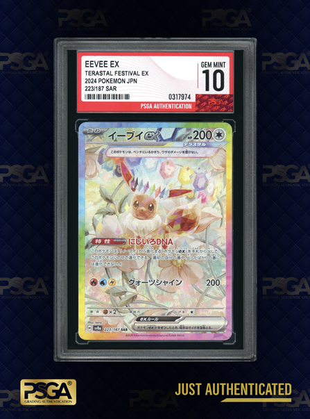 POKEMON JAPAN