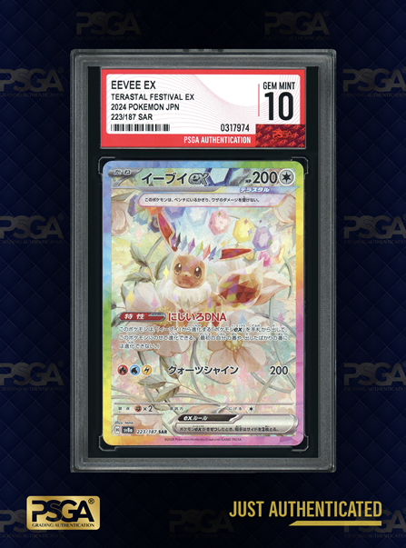 POKEMON JAPAN
