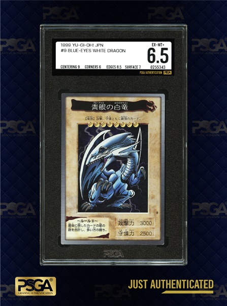 MTG & YU-GI-OH!