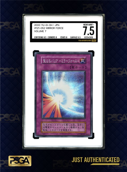 MTG & YU-GI-OH!