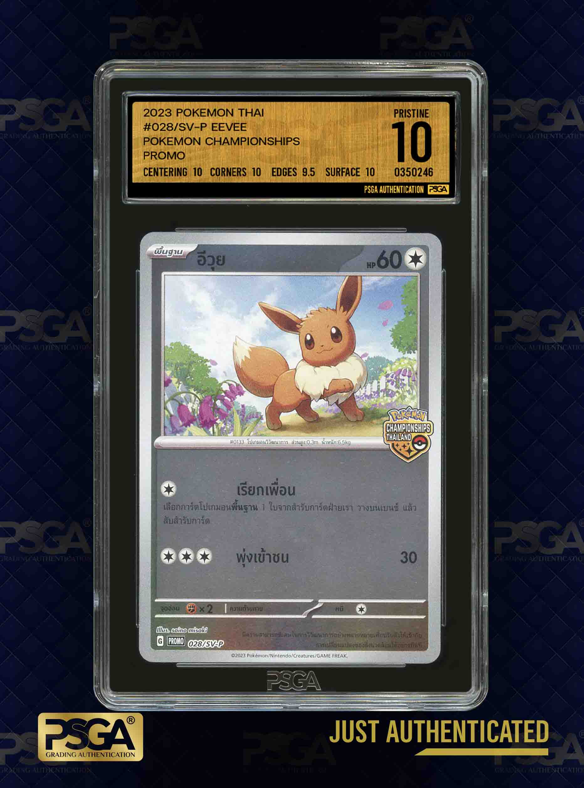 POKEMON THAI