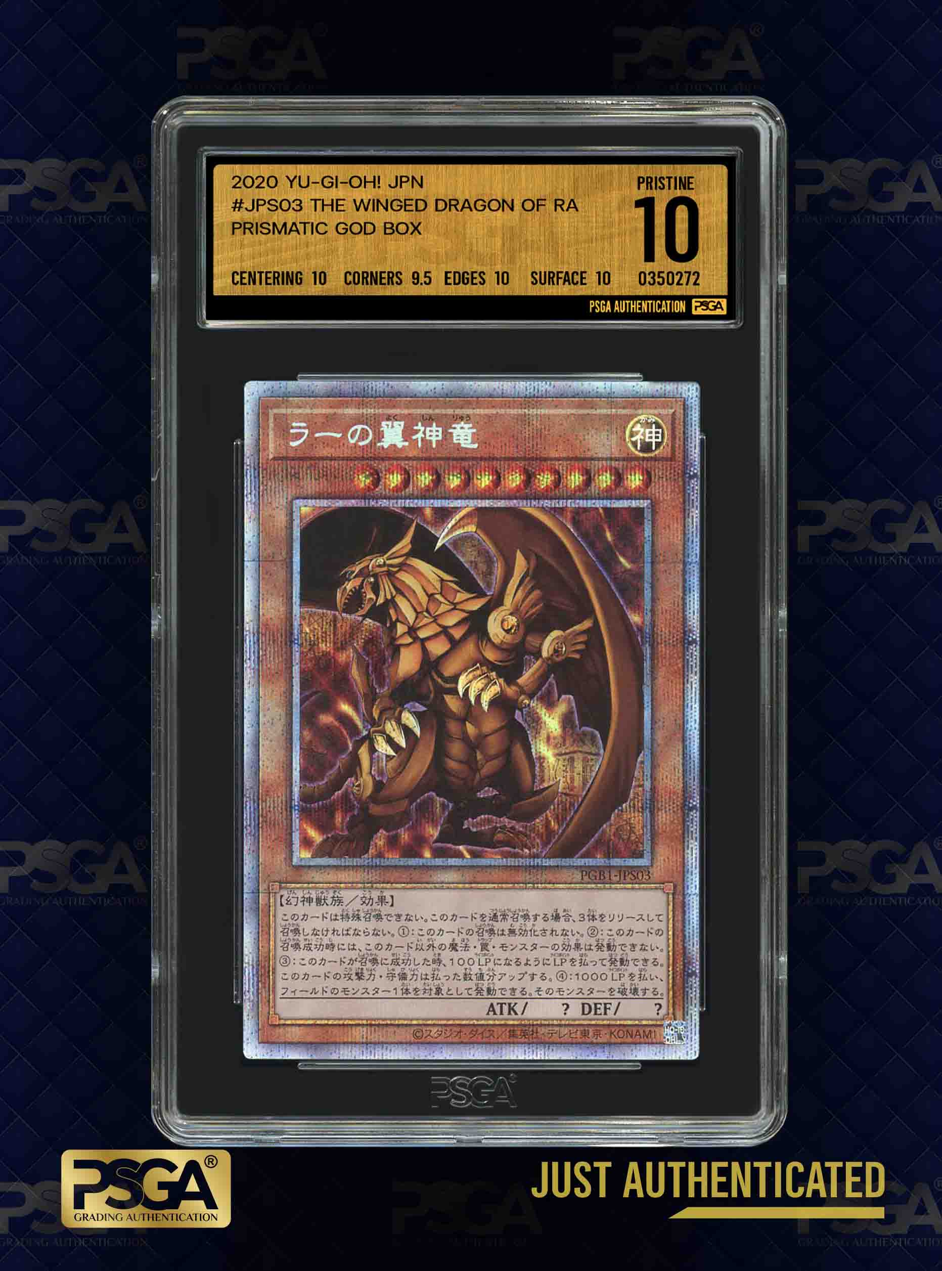 MTG & YU-GI-OH!