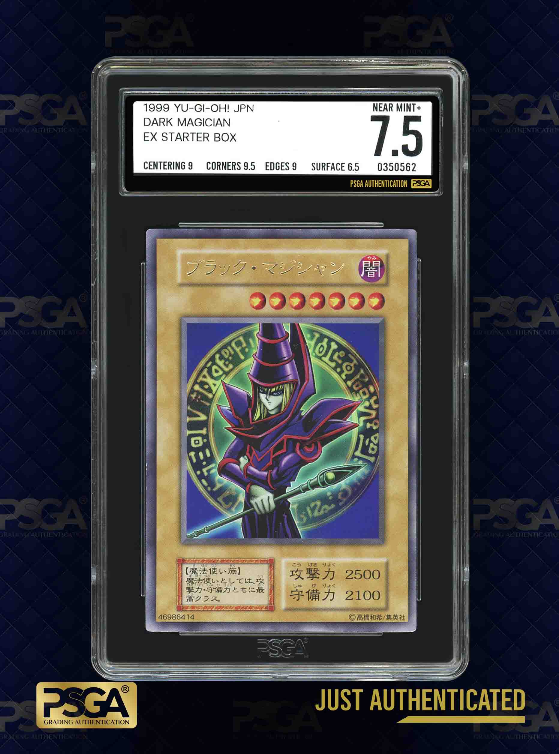 MTG & YU-GI-OH!