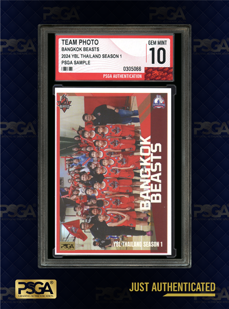BASKETBALL CARDS