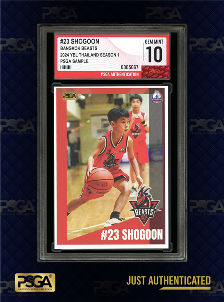 BASKETBALL CARDS